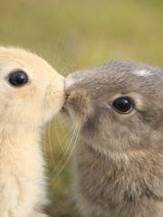 [해리포터] 2층 창문 위의 소녀