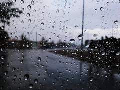 진창의 왈츠 (2)