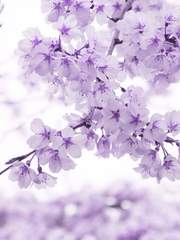 10분 프리라이팅