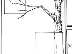 아다시마) 졸업까지 일주일
