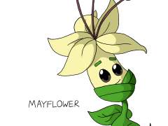 식물 대 좀비 시리즈의 Mayflower