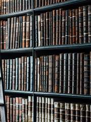 우리들의 운명적인 서약