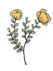 잎보다 먼저 피어나는 꽃