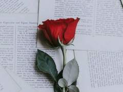 누군가는 보려나.