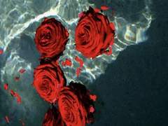 좋아해, 언제부터 인지는 몰라도