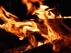 침이 고이는 소리, 눈을 뗄 수 없는 향기