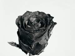 [은해] 너는 나만큼