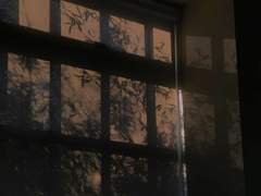 오필리아는 아름다웠다