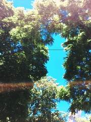 글 속에서 헤엄치기