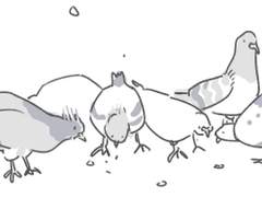 샘이 어려진 만화5