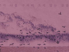 모모가 나를 구하러 오지 않는 꿈을 꿔