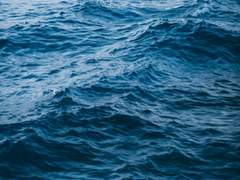 [남욱영진] 이름에게