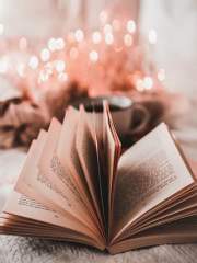 창조주 버프는 없나요?