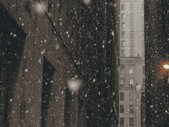 [중혁독자] 제목 없음