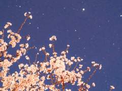 나의 불치병에게