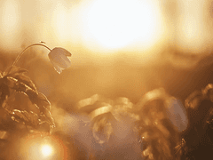 당신은 사랑스러운 사람이에요.