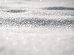 보고 있나, 에드워드 경?