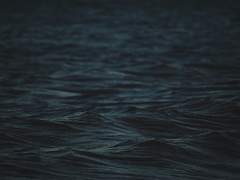 불꽃이 일렁거리는 소리를 들었다