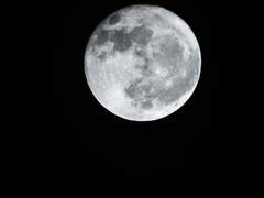 나는 이제 [ ㅡ ]