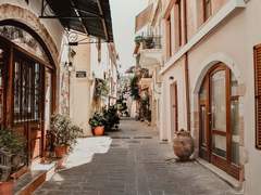 " 꽃은 나비를 달콤함으로 끌어들이죠. "