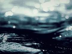 Bluebell A. Decentia