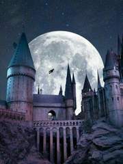 웰컴, 호그와트