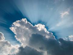 [1차수정] 구구-드워프-궁술-2학년