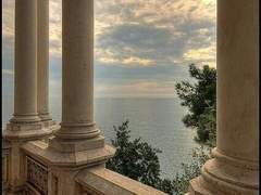 [ 베하티 오베론 / 페이테리안 ]