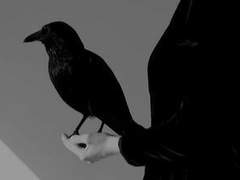 Peran Velisere / 페이테리안