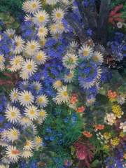 [후루시호] [단편] bourbon+Sherry完