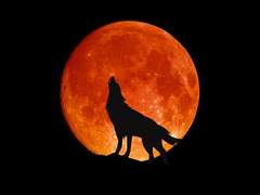 無題 (무제)- 드랍