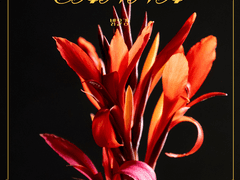 칸나_ 행복한 종말