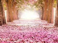 봄 날(Spring Day) - 7화 -