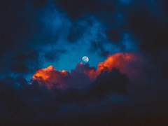 Alias 42 XY 공개프로필