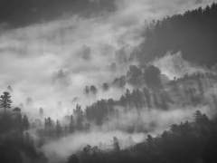 [드큘연성]끊어진 태엽-2화