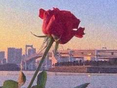 [신채린/22/한국]