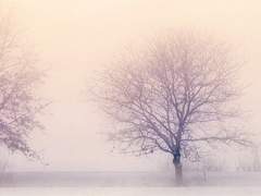 [나카무라 사오리/下 반]