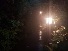 Kick back에 대한 고찰(0311수정+0404추가)