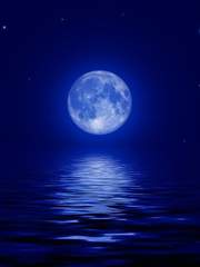 너는 달빛 그늘에 빛나고