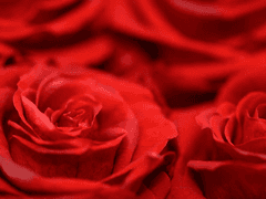 [ Mare M. Gray / Telia ]