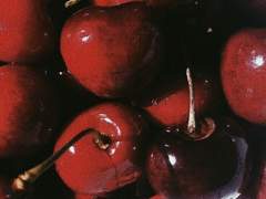 [백도] 흔한 사랑