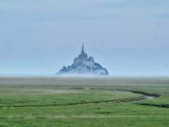 페스터 힐프로스(fester hilflos)