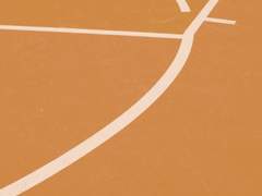 직선과 곡선의 삶