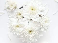 ..바, 반짝거려요.