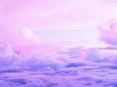 요정은 말했다.