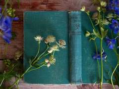 (7학년) 어둠의 마법 방어술 수업