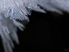 쁘띠 크리스마스