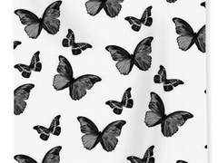 당천악커 프로필