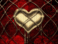 [사쿠아카ts]척애독락(隻愛獨樂)