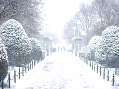 잠식적 인간들 (2)